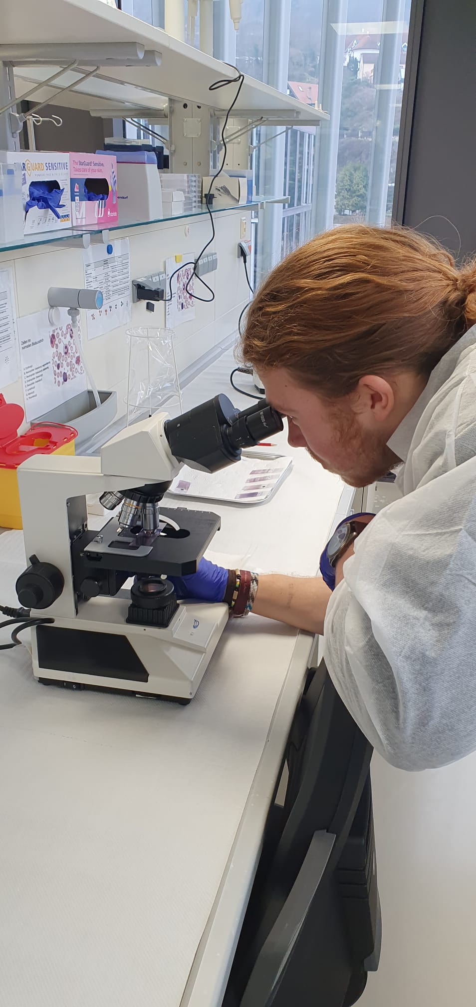 WhatsApp Image 2026 01 30 at 12.17.18