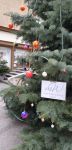 K800_IMG-20231118-WA0001
