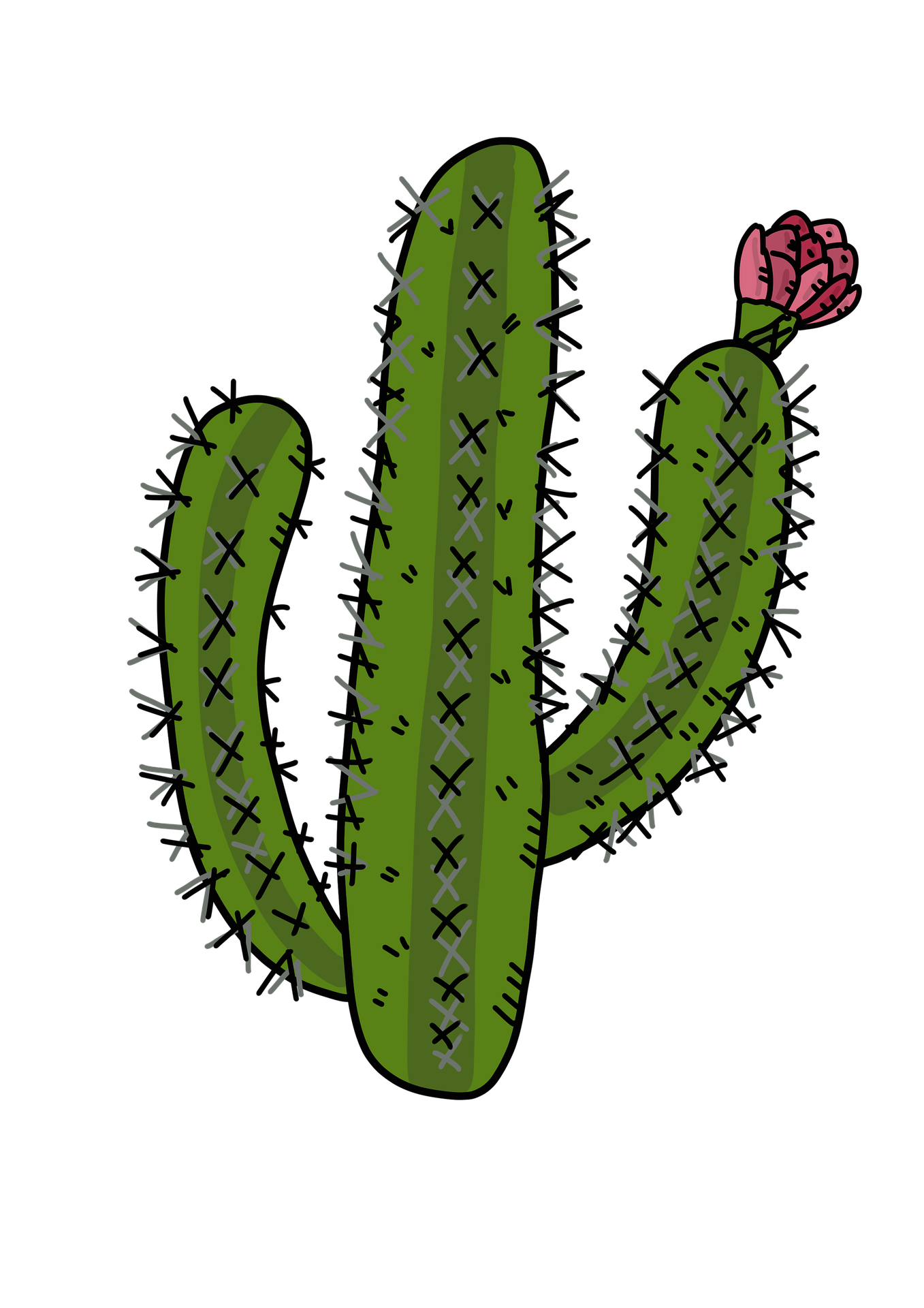 cactus 3871544 1920 1