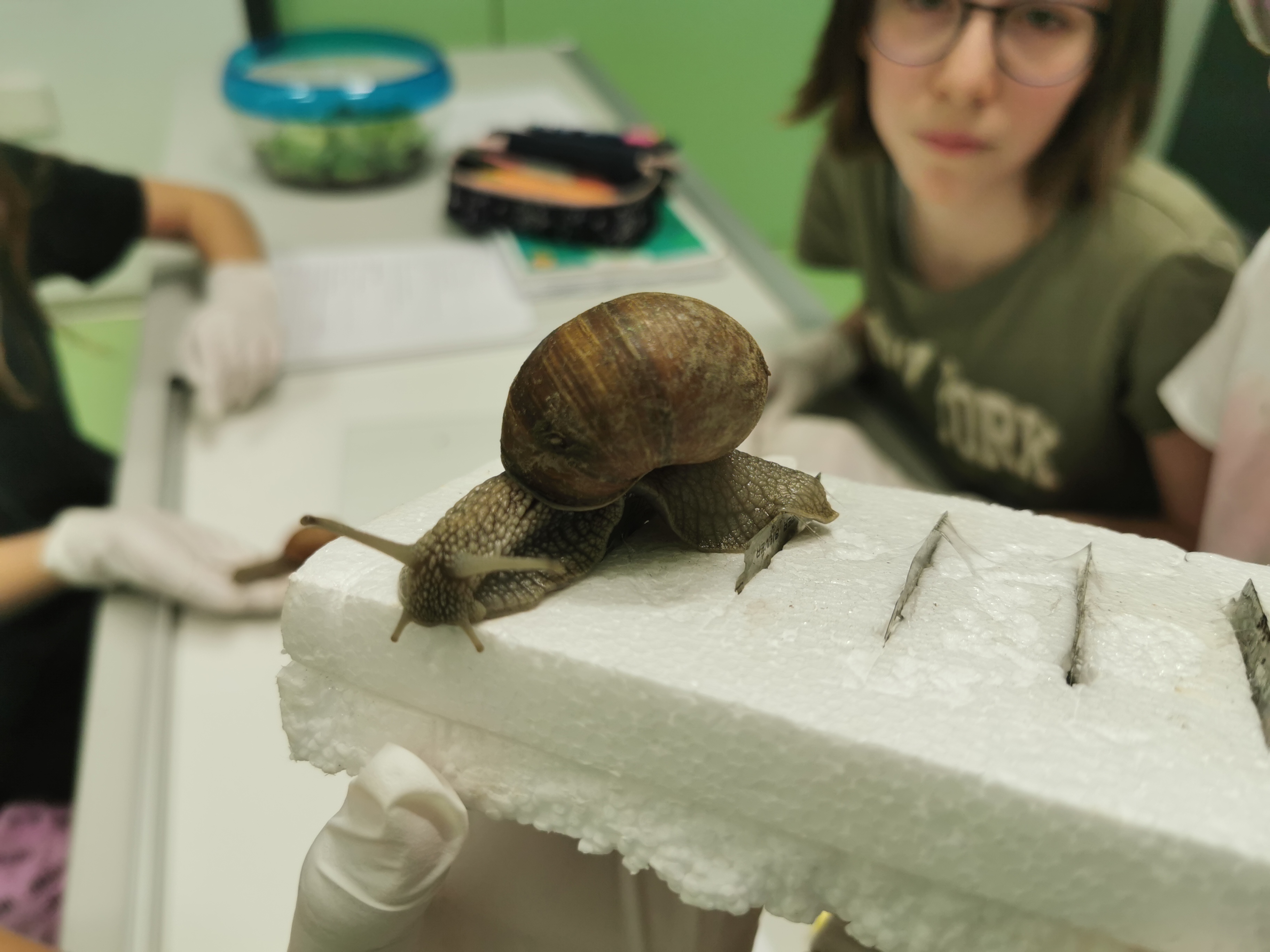 „Schleimiger“ Besuch in BIUK 