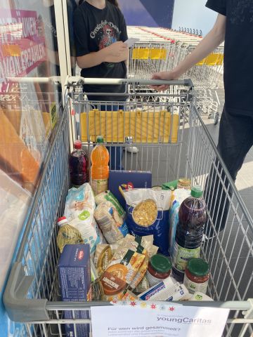 IMG 7113