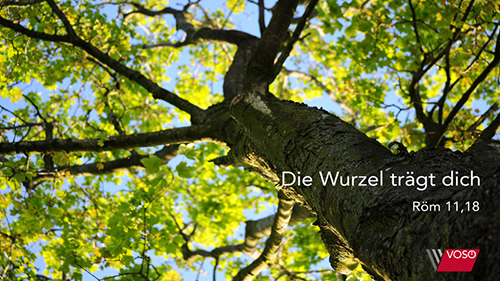 Die Wurzel trägt dich