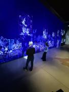 20251111105338629iOS