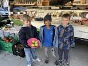 Bild-20261015-065354-1b1a13f55629