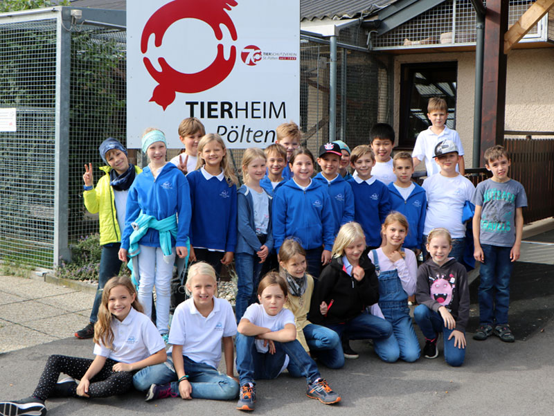 Tierheim